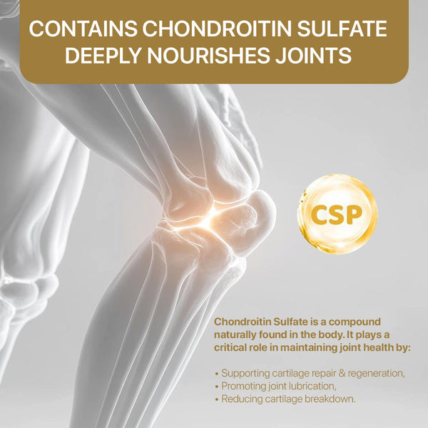 Movilidad Activa 360